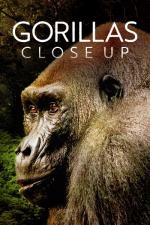 Gorillas.Close.Up.2022.720p.DSNP.WEB-DL.DDP5.1.H264.HUN-AWS - borítókép
